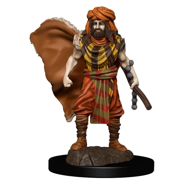 D&D Icons of the Realms: Premium Painted Figure - Human Druid Male