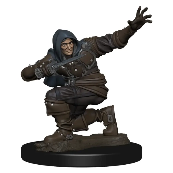 Pathfinder Battles Premium Miniatur vorbemalt Human Rogue Male