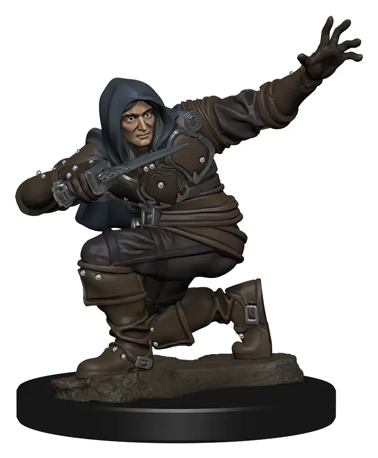 Pathfinder Battles Premium Miniatur vorbemalt Human Rogue Male