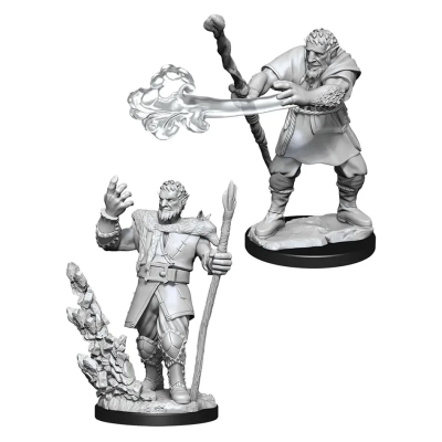 D&D Nolzur's Marvelous Miniatures - Male Firbolg Druid