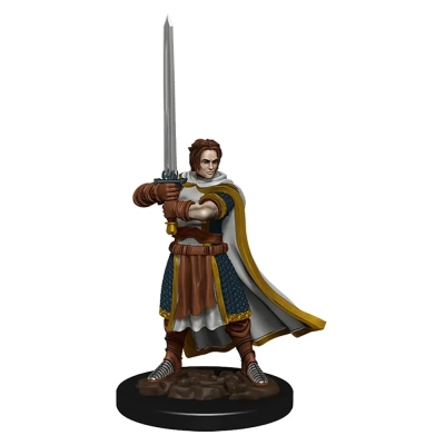 D&D Icons of the Realms: Premium Painted Figure - Human Cleric Male