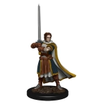 D&D Icons of the Realms: Premium Painted Figure - Human Cleric Male