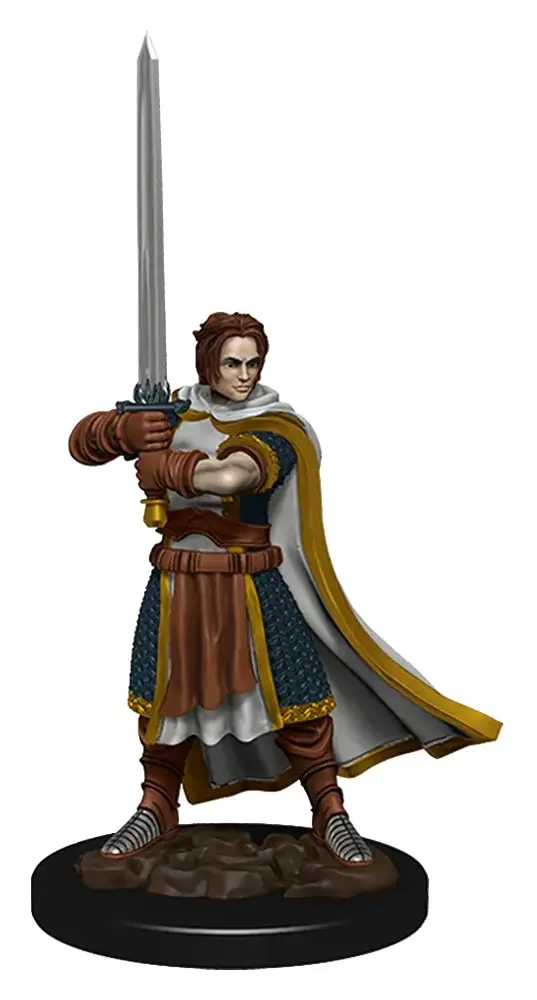 D&D Icons of the Realms: Premium Painted Figure - Human Cleric Male