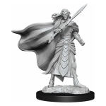 Magic the Gathering Miniatures W14 Elf Fighter...