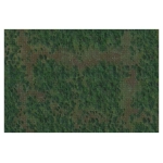 D&D Icons of the Realms: Forest Battle Mat