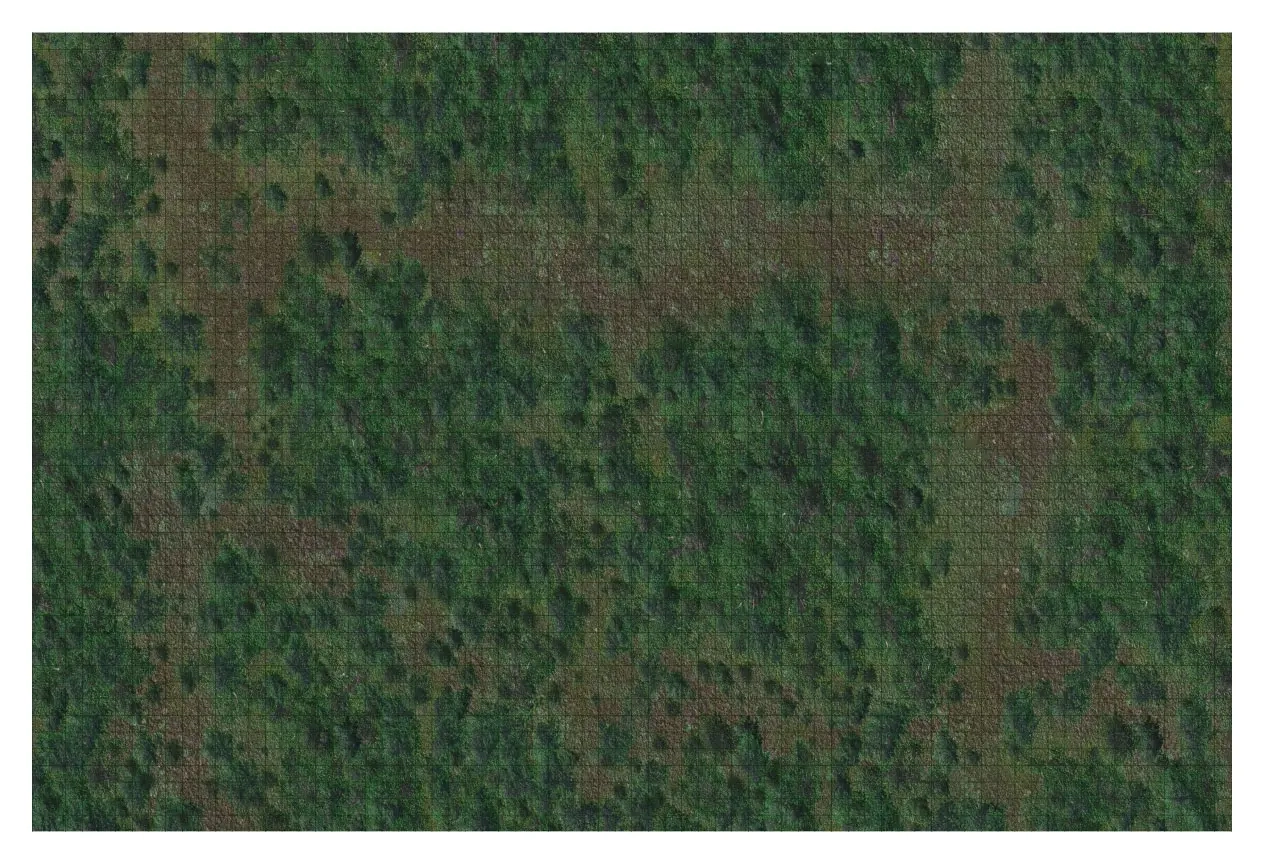 D&D Icons of the Realms: Forest Battle Mat