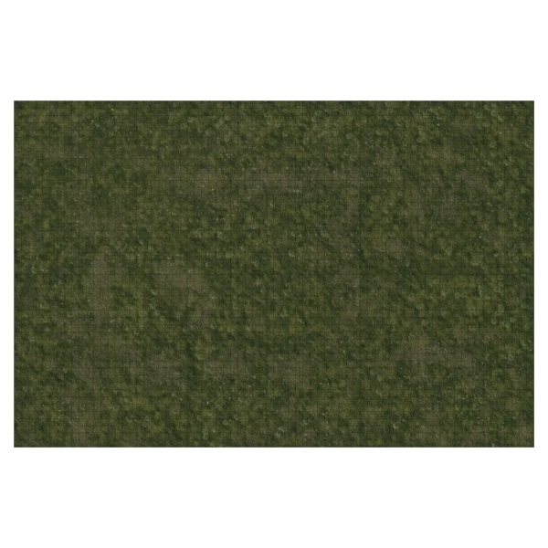 D&D Icons of the Realms: Grasslands Battle Mat