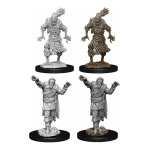 D&D Nolzur`s Marvelous Miniatures W14 Scarecrow