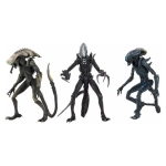 Alien vs Predator Actionfiguren 20 cm Alien Sortiment