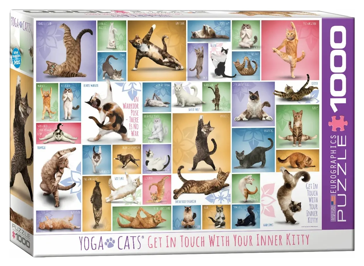 Collage - Yoga Katzen