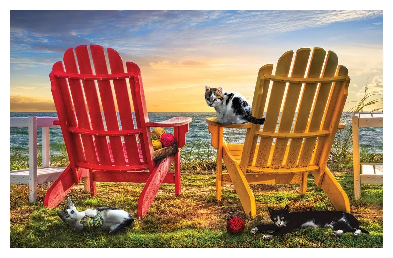 Celebrate Life Gallery - Cat Nap at the Beach