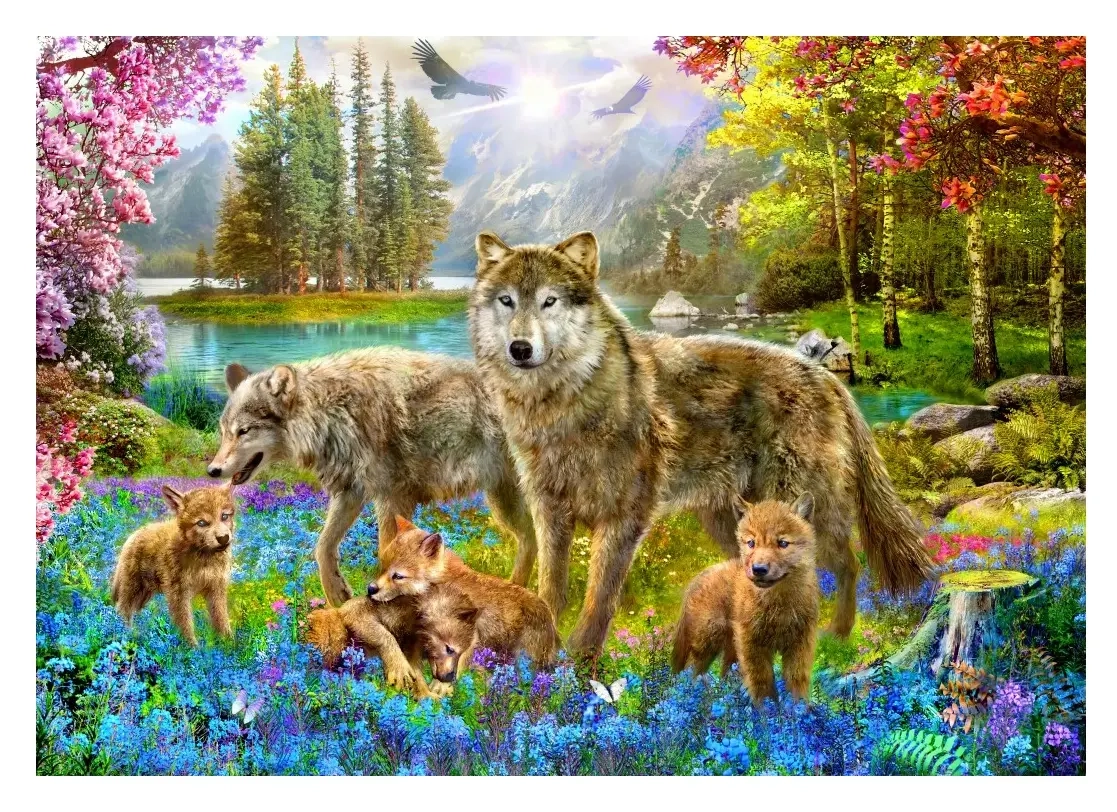 Spring Wolf Family