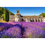 Kloster im Blumenmeer