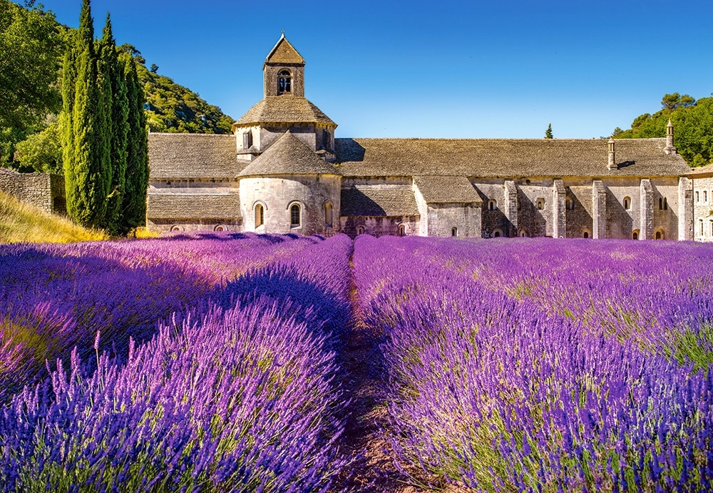 Kloster im Blumenmeer