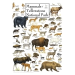 Mammals of Yellowstone National Park