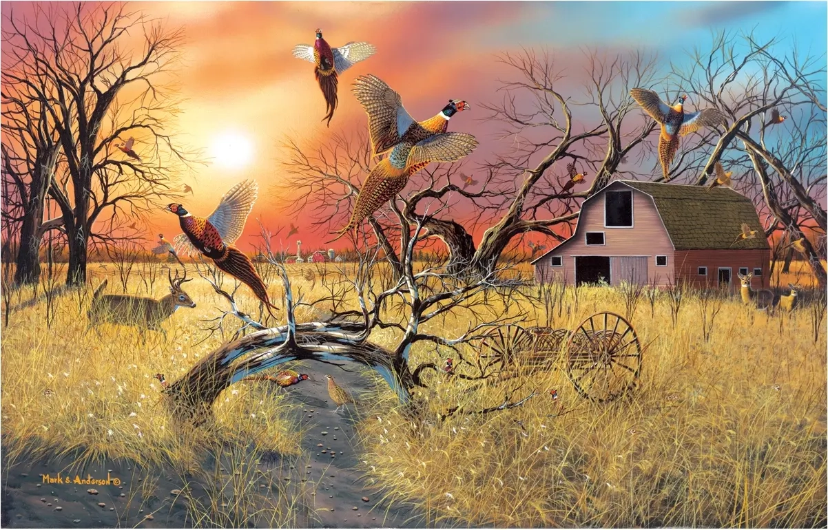 Pheasant Flight - Mark S. Anderson