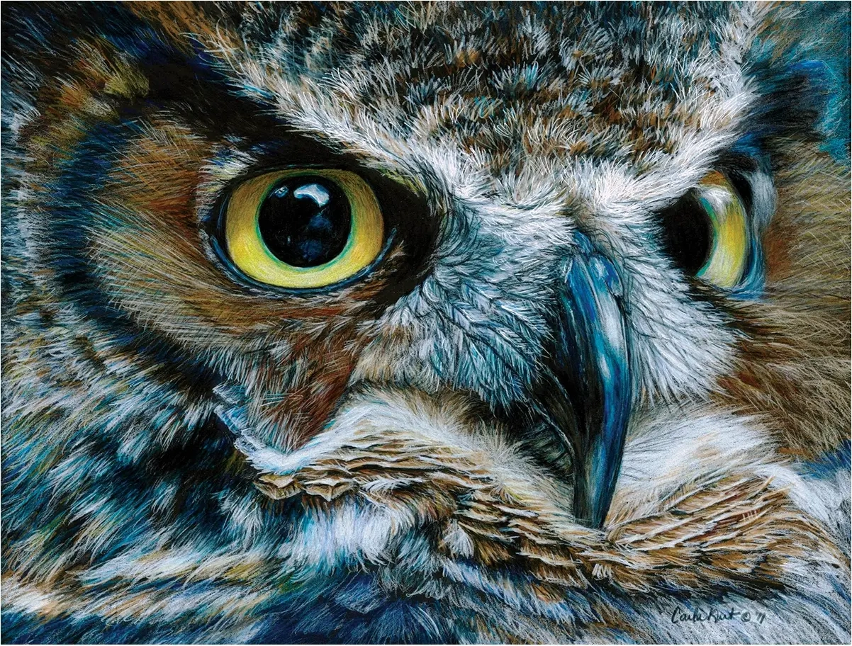 Dark Owl - Carla Kurt