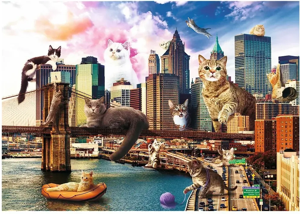 Cats in New York