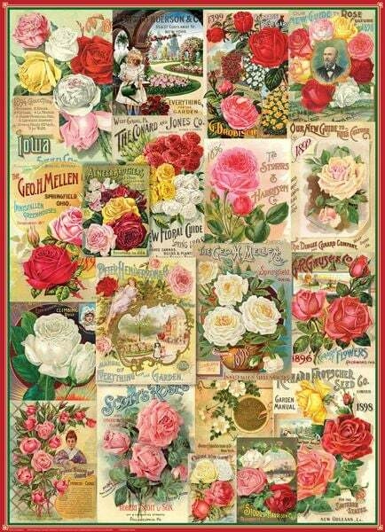 Rosen-Saatgutkatalog