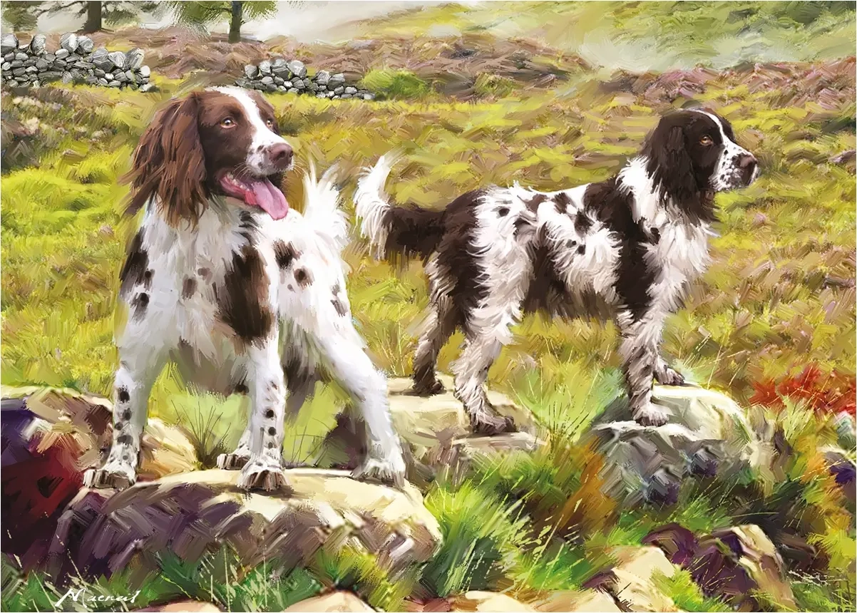 Spaniels On The Moor