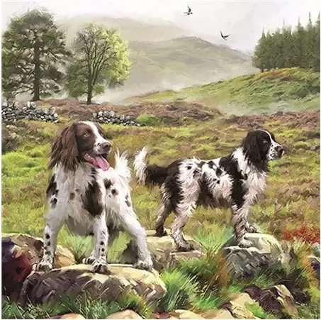 Spaniels On The Moor