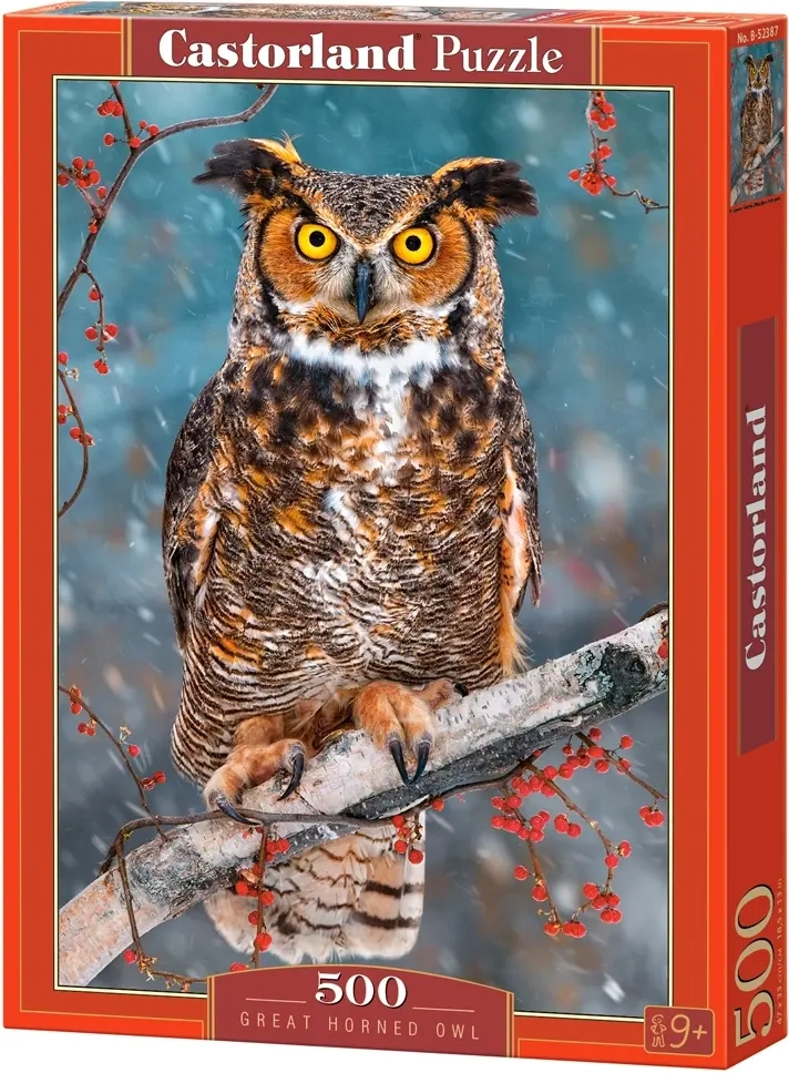 Great Horned Owl