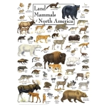 Land Mammals of North America