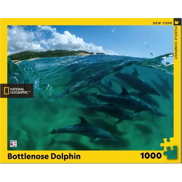 Bottlenose Dolphins