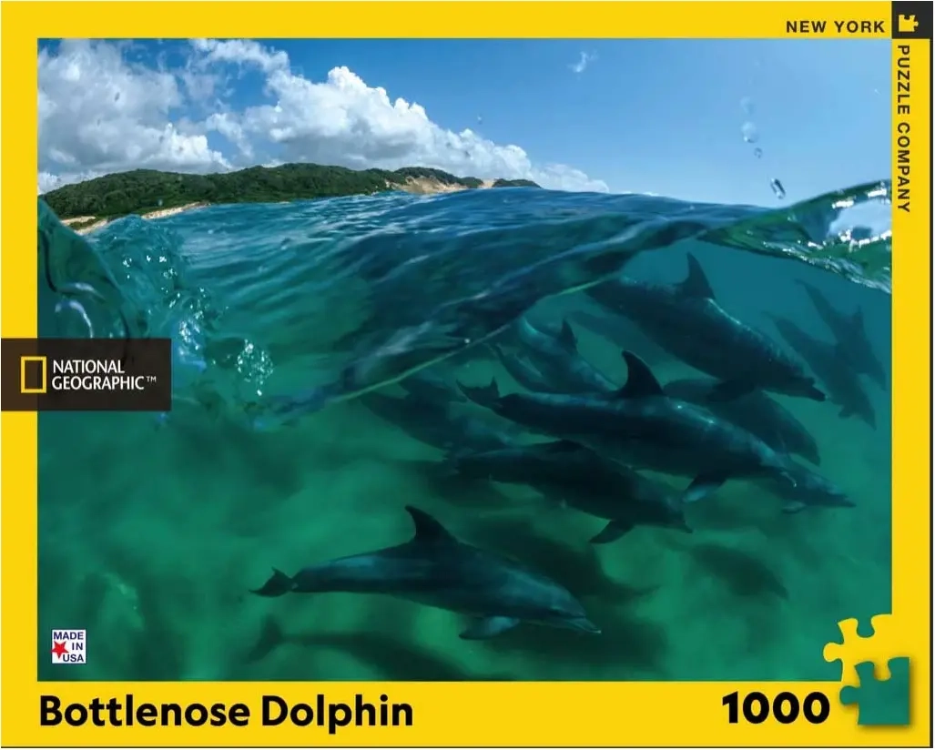 Bottlenose Dolphins