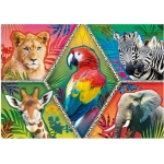 Exotic Animals