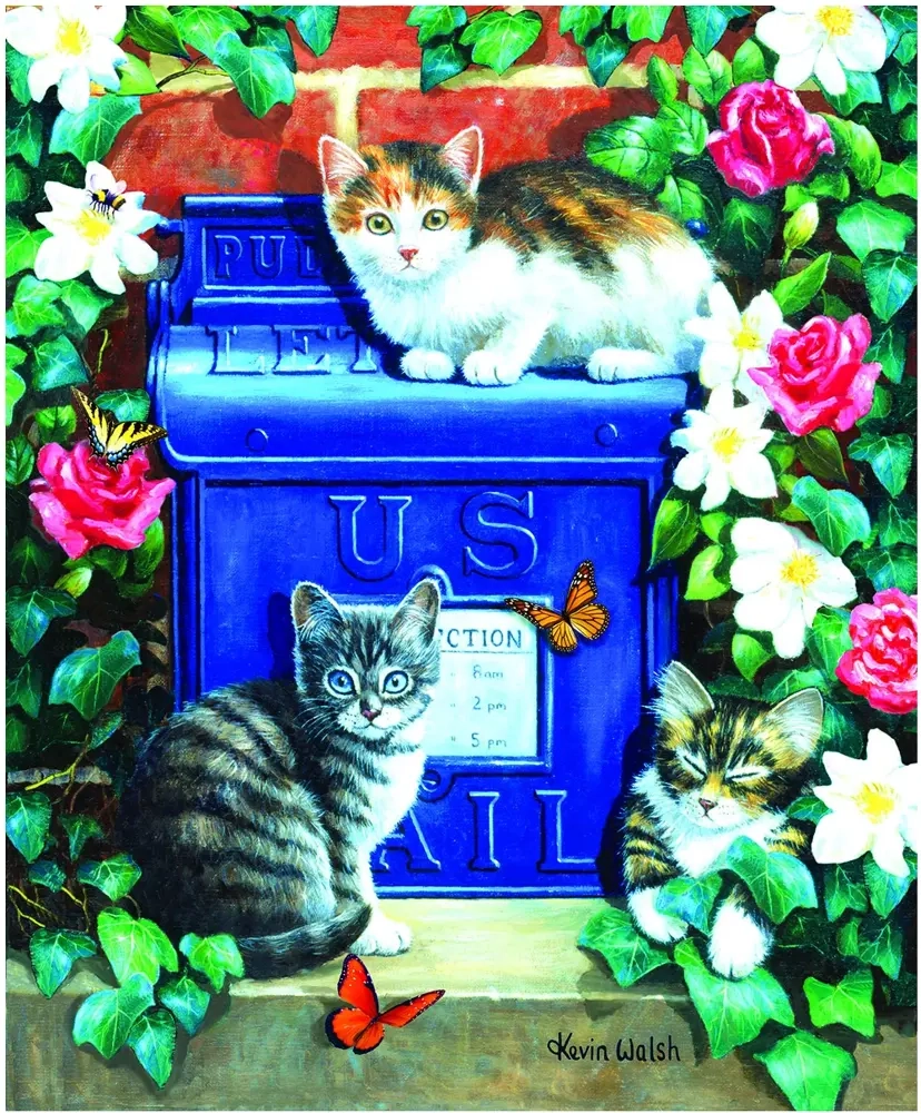 Mail Box Kittens - Kevin Walsh