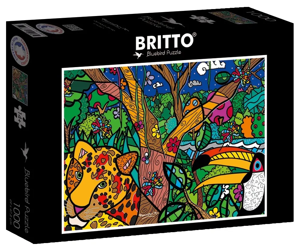 Romero Britto - Amazon