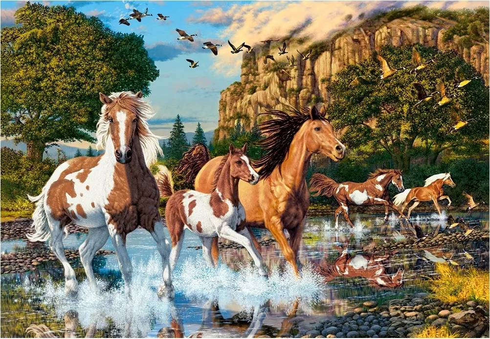 Horse Wonderland