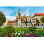 Burg Wawel in Krakau, Polen