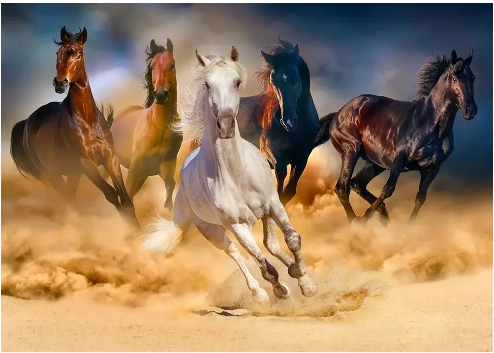 Horses Running in the Desert