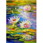 Water Lilies in the Pond