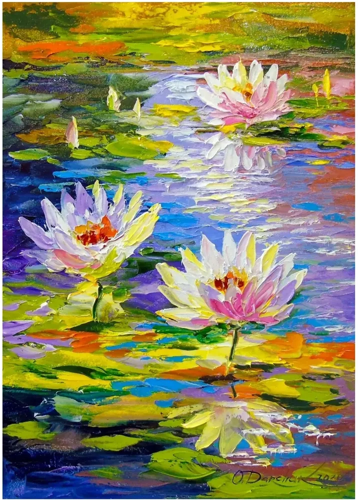 Water Lilies in the Pond