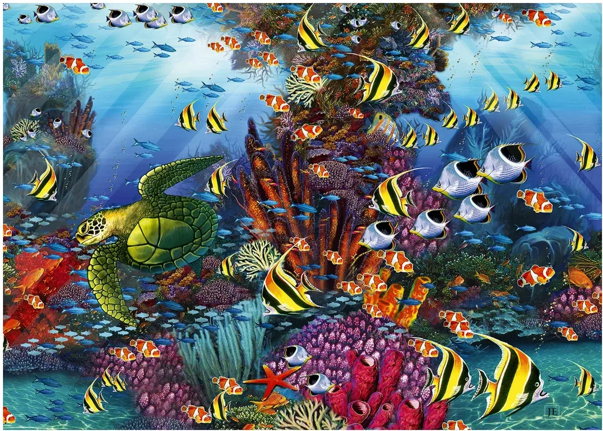 The Reef Detail