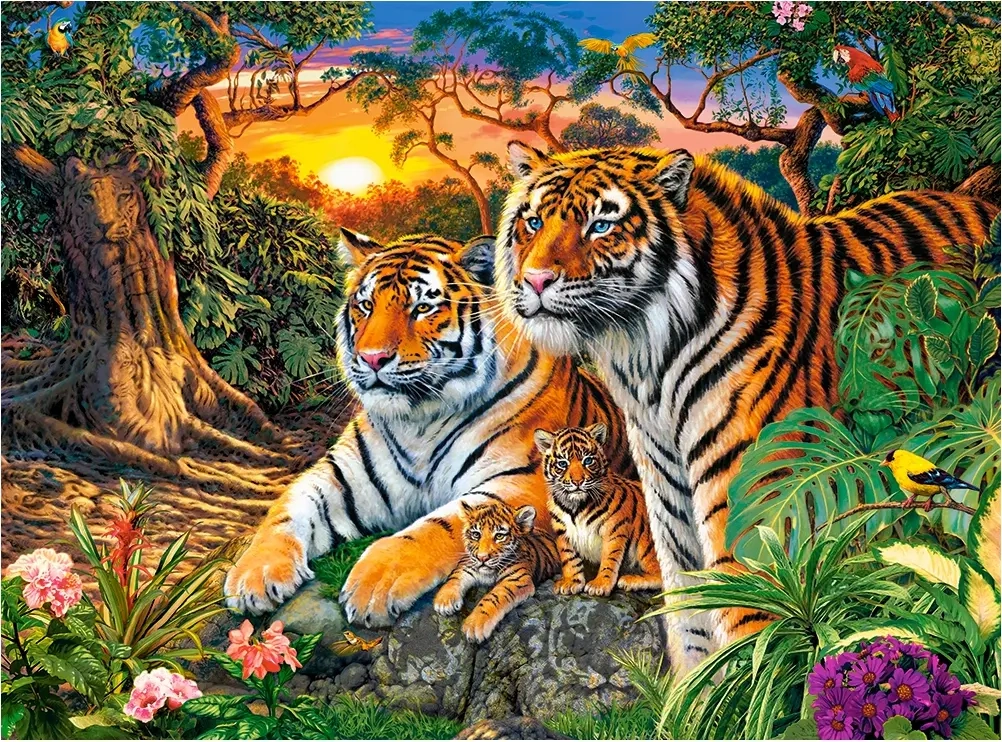 Tiger Family