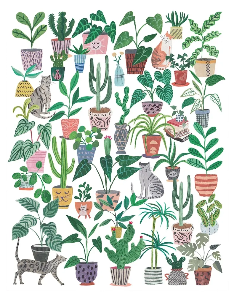 Cats and Plants