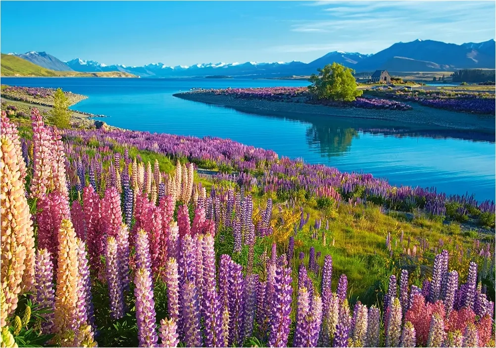 Lake Tekapo - New Zealand