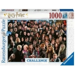 Harry Potter Challenge