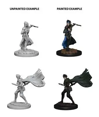 Pathfinder Deep Cuts Unpainted Miniatures - Elf Female Rogue 