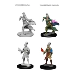 Pathfinder Deep Cuts Unpainted Miniatures - Elf Female Sorcerer