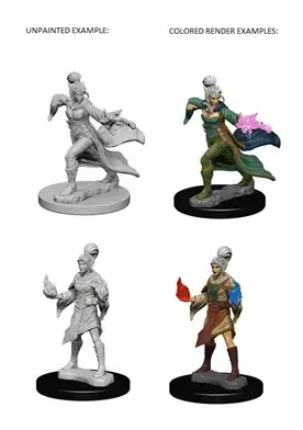 Pathfinder Deep Cuts Unpainted Miniatures - Elf Female Sorcerer