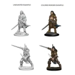 Pathfinder Deep Cuts Unpainted Miniatures - Human Male Fighter 