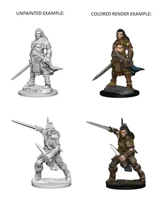 Pathfinder Deep Cuts Unpainted Miniatures - Human Male Fighter 