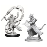 Tiefling Male Sorcerer D&D Nolzurs Marvelous Miniatures