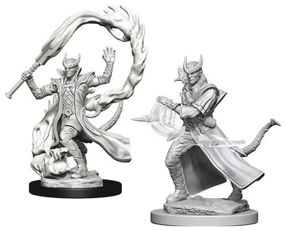 Tiefling Male Sorcerer D&D Nolzurs Marvelous Miniatures