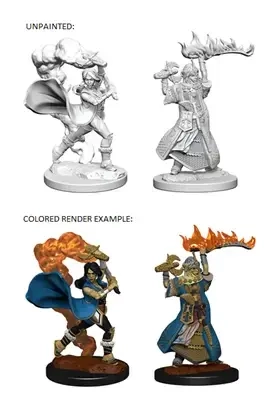 Human Female Cleric Pathfinder Deep Cuts Miniatures